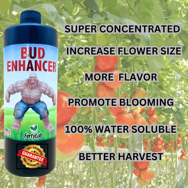 Bud Enhancer  1 Liter - Image 3