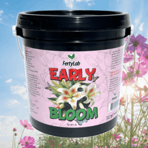 Early Bloom 10 Pound