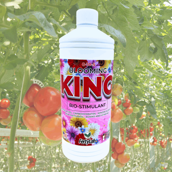 Blooming King 1 gallon - Image 3