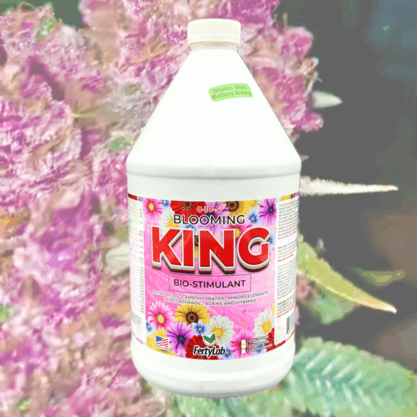 Blooming King 1 gallon - Image 2