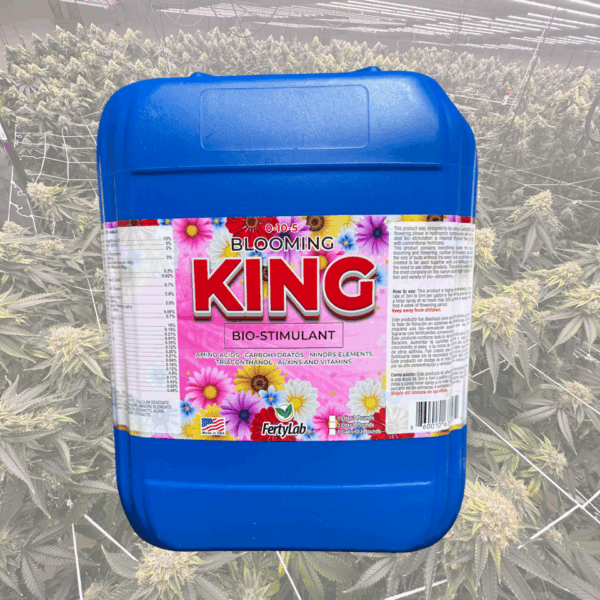 Blooming King 1 gallon