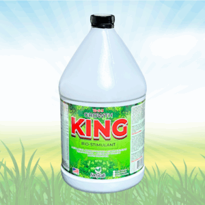 Growth King 1 gallon